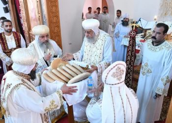 بالصور تفاصيل لقاء البابا تواضروس الثاني بمجموعة خدمية من إيبارشية النمسا