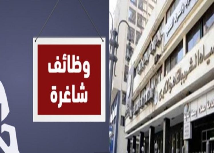 وظائف شاعرة في شركة مياه الشرب بالقاهرة تفاصيل الشروط والأوراق المطلوبة 1 261 687 073740 125