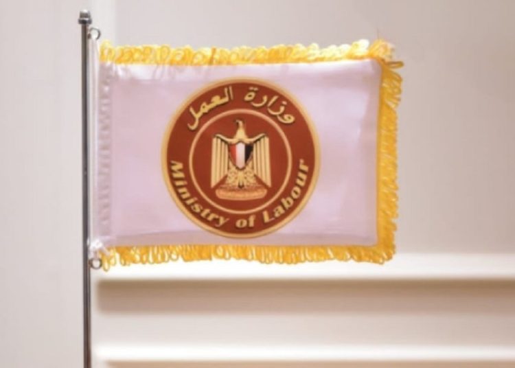 وزارة العمل عن 4007 فرصة عمل متاحة للشباب بحد أدنى قدره 7000 جنيه التفاصيل 1 وزارة العمل