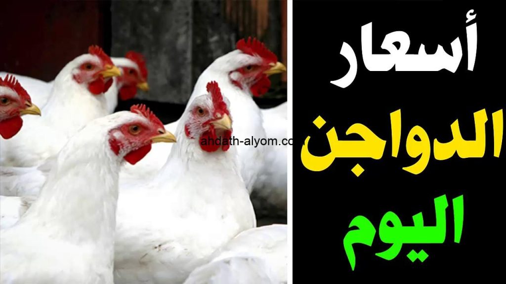 انخفاض سعر الفراخ اليوم 29مايو2025 قبل عيد الاضحى شوف الكيلو بكام 2 سعر الفراخ اليوم