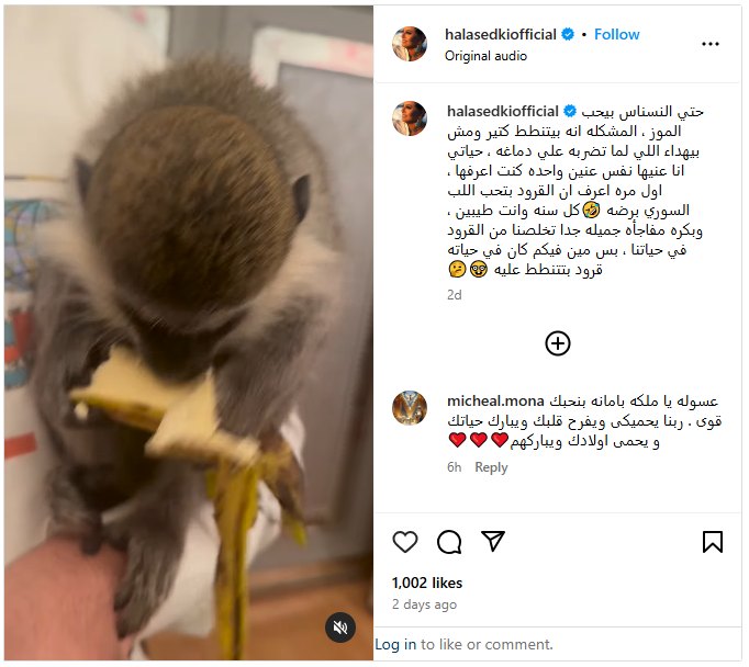 الفنانة هالة صدقي تتقدم ببلاغ ضد مجهول يسيء لسمعتها وتوجه رسالة غامضة وتعلن مفاجأة 5 261 687 073740 425