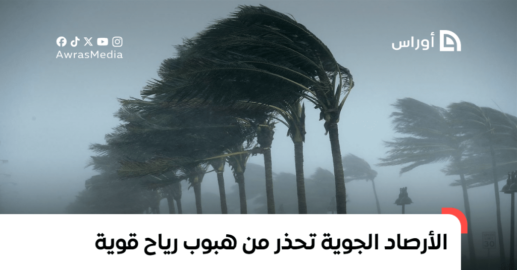 الأرصاد الجوية تحذر من موجة برد قاسية الإنذار الأخطر من أمشير 2 الأرصاد الجوية تحذر