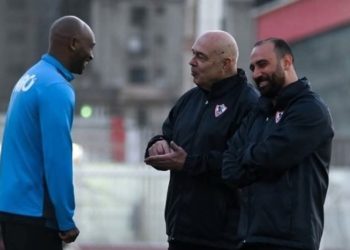 مفاجأة شيكابالا هو كلمة السر في رحيل السويسري جروس عن الزمالك