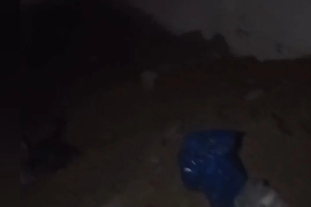 حفلات ليلية ونهاية مأساوية سفاح الإسكندرية قصة تحول محامي إلى مجرم متسلسل 2 الزقازيق4 1