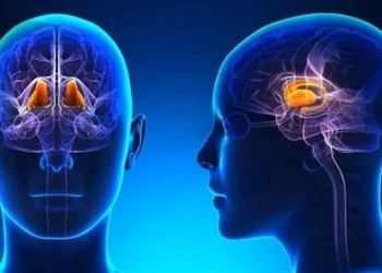 احذر تضخم الأطراف كشف أعراض ومضاعفات فرط نشاط الغدة النخامية في الجسم 7 فرط نشاط الغدة النخامية