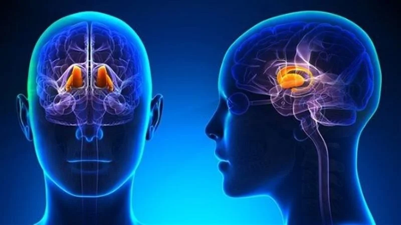 احذر تضخم الأطراف كشف أعراض ومضاعفات فرط نشاط الغدة النخامية في الجسم 2 فرط نشاط الغدة النخامية