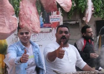 ملك السمين إبراهيم الطوخي