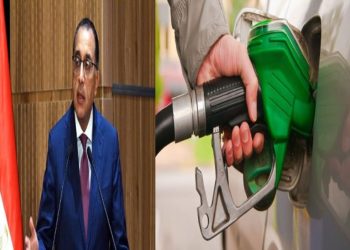 المواد البترولية