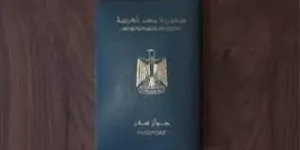 الأوراق اللازمة لطلب اكتساب الأجانب أبناء الأم المصرية للجنسية 3 طلب اكتساب الأجانب أبناء الأم المصرية للجنسية