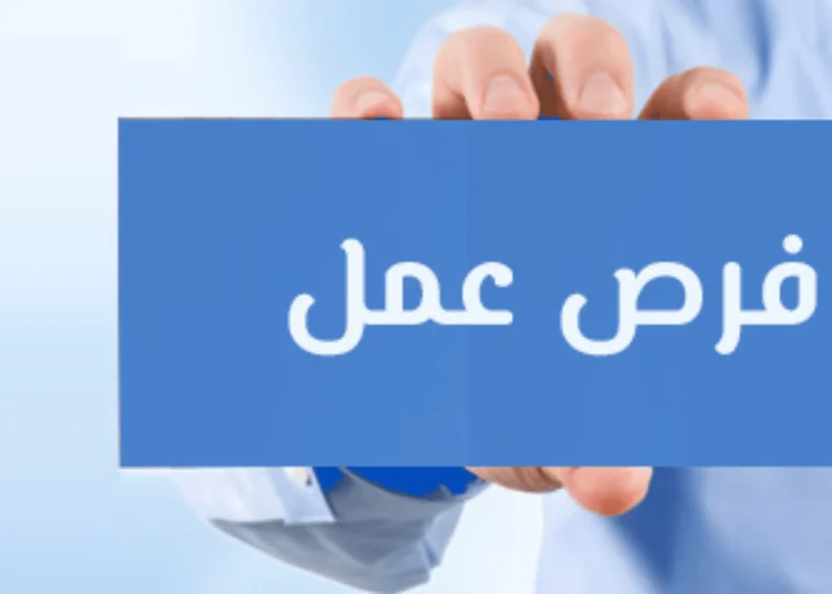 6499 فرصة عمل جديدة بالقطاع الخاص ووظائف لذوي الهمم 1 فرص عمل