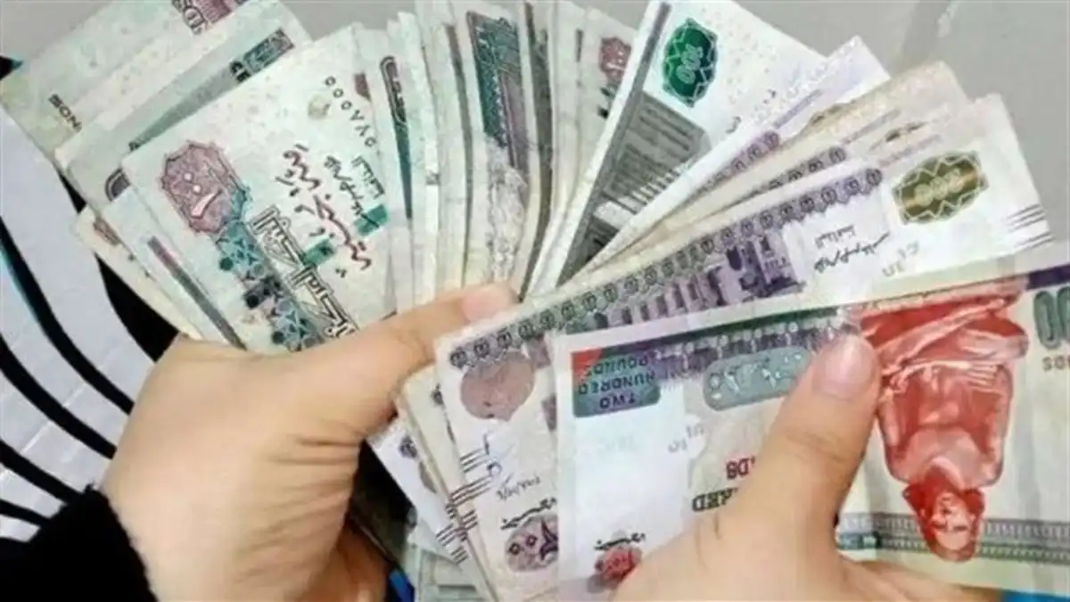رسميا وزيرة التضامن تعلن زيادة معاش تكافل وكرامة ليصل إلى 900 جنيه في هذا الموعد 4 وزيرة التضامن تؤكد الدعم مستمر