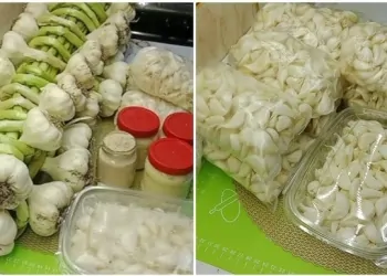 تعرفي على أحسن طرق لتخزين الثوم من السنه للسنه من غير ما يفقد نكهته ولا فوائده 5 أحسن طرق لتخزين الثوم