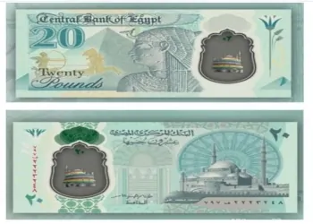 العملات البلاستيكية