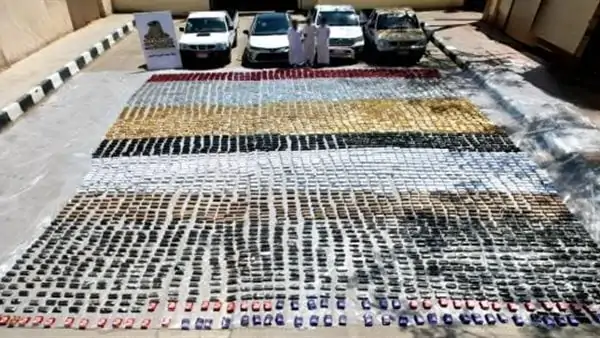 حشيش بقيمة 300 مليون جنيه الداخلية تطيح بأخطر عصابة مخدرات في جنوب سيناء 3 المضبوطات التي عثرت عليها الداخلية