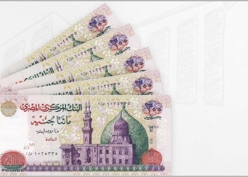مجلس الوزراء يتحدث عن الدعم الحكومي