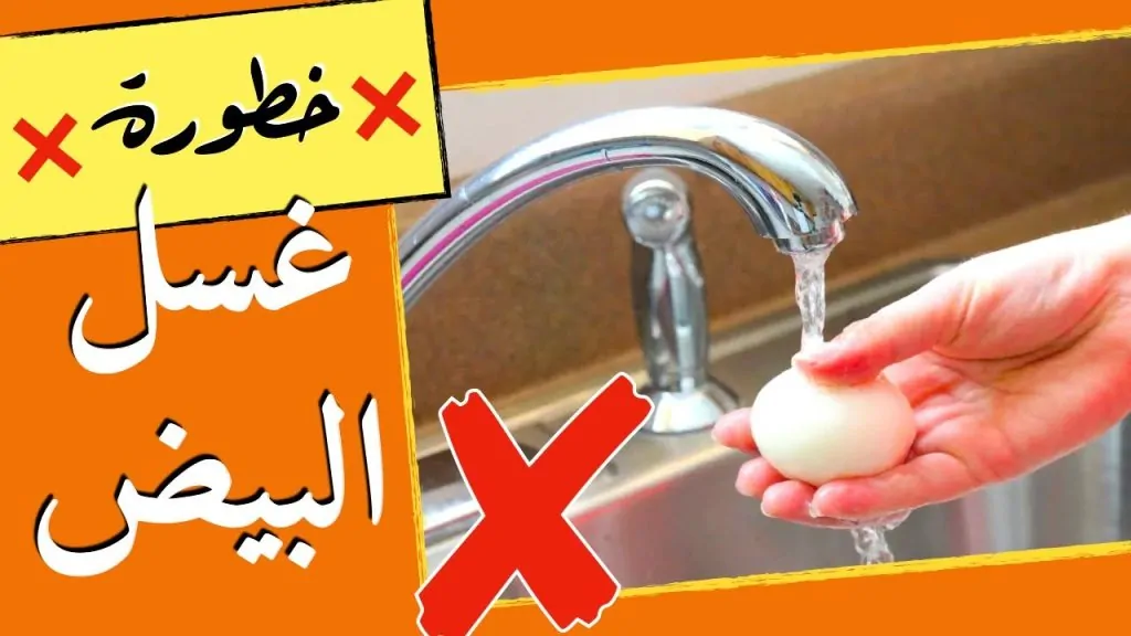تجنب غسل البيض قبل تناوله لهذا السبب 4 غسل البيض