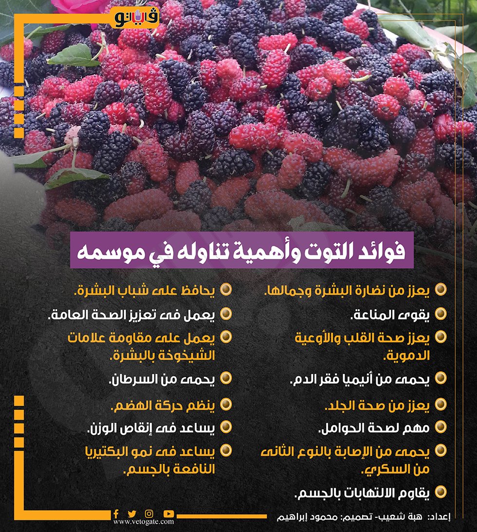 فوائد صحية رائعة لتناول التوت أبرزها يقي من الالتهابات وأمراض القلب 2 فوائد تناول التوت