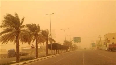 إرشادات ذهبية لمرضى الصدر والحساسية للحفاظ على صحتك احذر العواصف التراية 2 العواصف التراية تهدد مرضى الصدر والحساسية