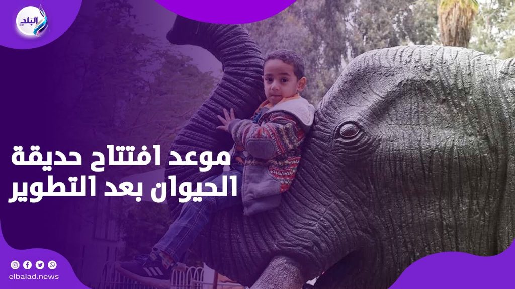 موعد إعادة افتتاح حديقة الحيوان بعد أعمال التطوير المتحدث باسم وزارة الزراعة يوضح 2 حديقة الحيوان
