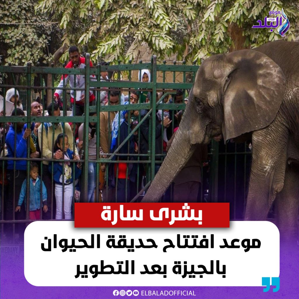 موعد إعادة افتتاح حديقة الحيوان بعد أعمال التطوير المتحدث باسم وزارة الزراعة يوضح 4 حديقة الحيوان