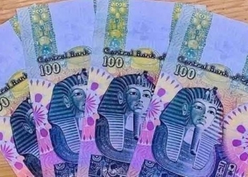 عملة بلاستيكية