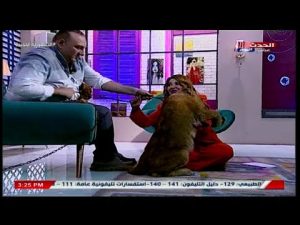 كنت مباركة من الرب مادلين طبر تروي لأول مرة عن إصابتها بعضة أسد 4 Capture 8