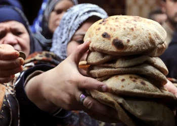 شعبة المخابز عن أسعار الخبز المدعم
