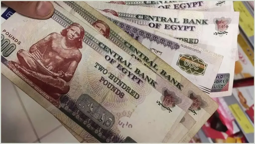 بعد خفض العائد على شهادات الادخار بشكل رسمي ما هي فوائد 100 ألف جنيه في الشهر 2 شهادات الادخار ذات العائد المرتفع