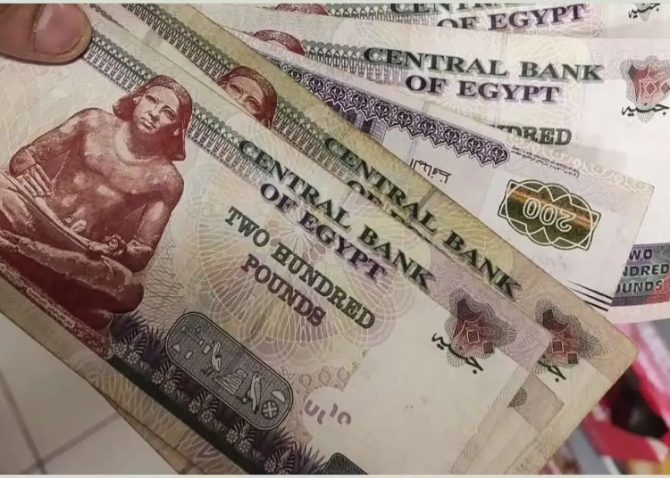 البنك الأهلي المصري يكشف عن أعلى الشهادات المطروحة الفترة الحالية 1 الشهادات الاستثمارية - شهادات الاستثمار