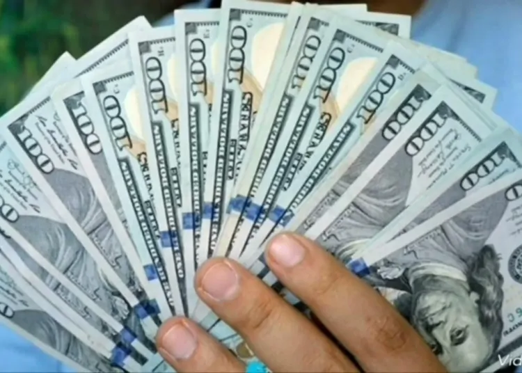 أسعار الدولار اليوم 12مايو 2025 مقابل الجنيه مع عودة عمل البنوك 1 سعر الدولار