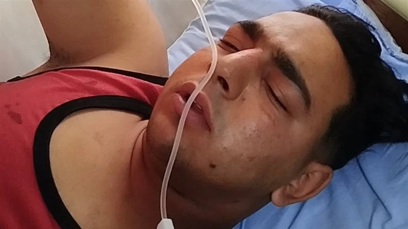 كشف تفاصيل مفاجأة في تقرير الطب البيطري بشأن أكل نمر طنطا عقب واقعة عامل السيرك المأساوية 4 واقعة عامل السيرك