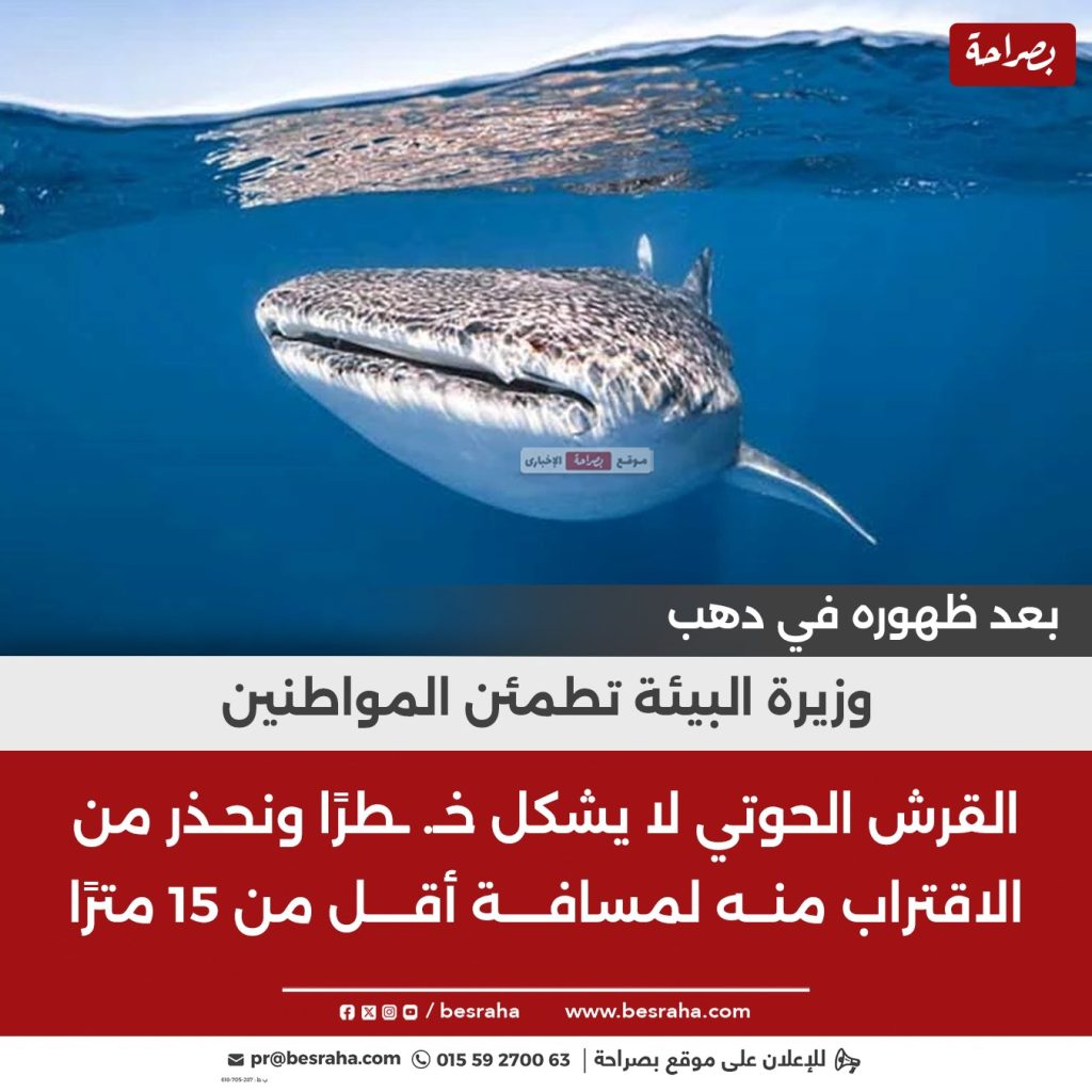 تفاصيل ظهور القرش الحوتي في مدينة دهب وأول تعليق من البيئة 4 القرش الحوتي