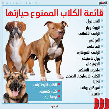 وزير الزراعة يكشف عن 3 سلالات من الكلاب محظور اقتناؤها أو ترخيصها ومن يملكها يجب تسليمها للطب البيطري 2 سلالات من الكلاب محظور اقتناؤها