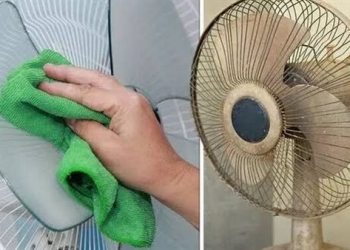 تنظيف المروحة