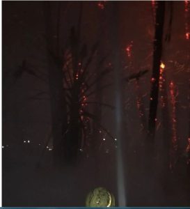 في مشهد مفزع حريق هائل يلتهم نخيل كورنيش مصر القديمة 4 اشتعال النيران