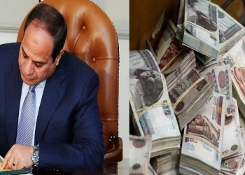 الرئيس السيسي يفرح أصحاب المعاشات قرار جمهوري طال انتظاره من قبل الملايين 13 الرئيس السيسي