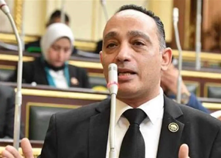 النائب فريدي البياضي يعبر عن استيائه من تأخير لائحة رعاية المسنين يا حكومة هل منتظرين الشعب كله يبقى مسن 1 النائب فريدي البياضي