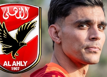 لدغات الأهلي