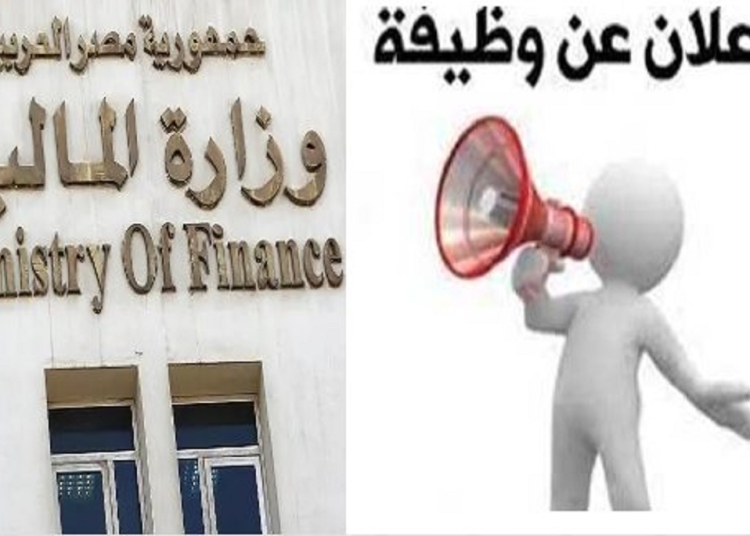 برواتب تصل إلى 8 آلاف جنيه وزارة العمل تعلن عن 90 وظيفة 1 وظائف وزارة المالية