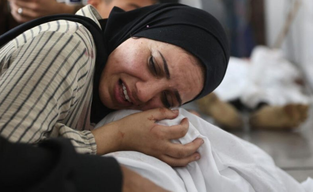 نجيب ساويرس يوجه رسالة مؤثرة للـ طبيبة آلاء النجار 2 نجيب ساويرس يوجه رسالة مؤثرة للـ طبيبة آلاء النجار