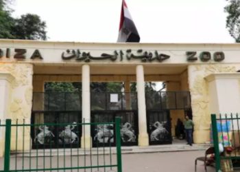 حديقة الحيوان بالجيزة