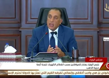 قرار رئيس الحكومة بشأن قطع الكهرباء قبل بدء أغسطس الحار 9 رئيس الحكومة