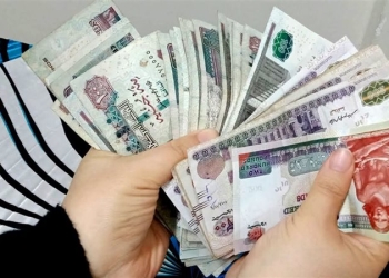 كيف خدعت Vsa ضحاياها