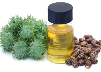 زيت الخروع  بوتوكس الطبيعة سر الجمال