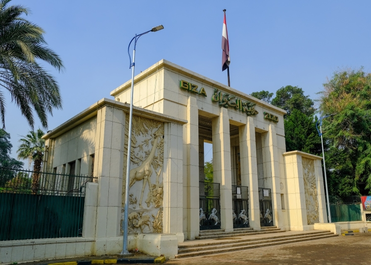 الإعلان عن موعد افتتاح حديقة الحيوان بالجيزة عقب التطوير وتمن التذكرة المتوقع 1 افتتاح حديقة الحيوان بالجيزة