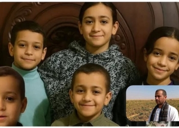 قضية أطفال المنيا