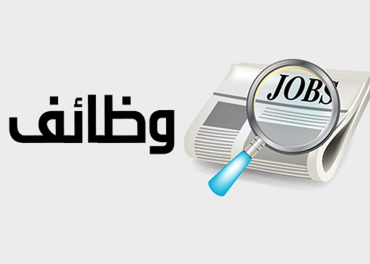 قدم الآن وظائف خالية بوزارة النقل شروط التقديم 1 وظائف وزارة التضامن