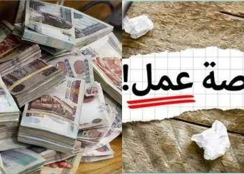 راتب يصل إلى 30 ألف جنيه فرص عمل شاغرة في تخصصات متنوعة 6 وزارة العمل عن توفر فرص