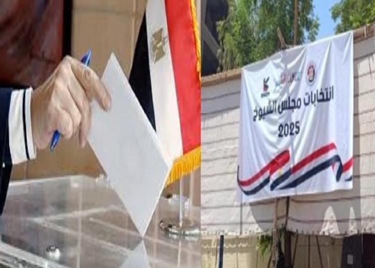 ما حدث في انتخابات مجلس الشيوخ بالرصد والمتابعة أول 5 ساعات من التصويت 1 انتخابات مجلس الشيوخ
