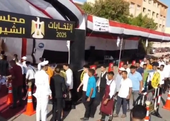 انتخابات مجلس الشيوخ